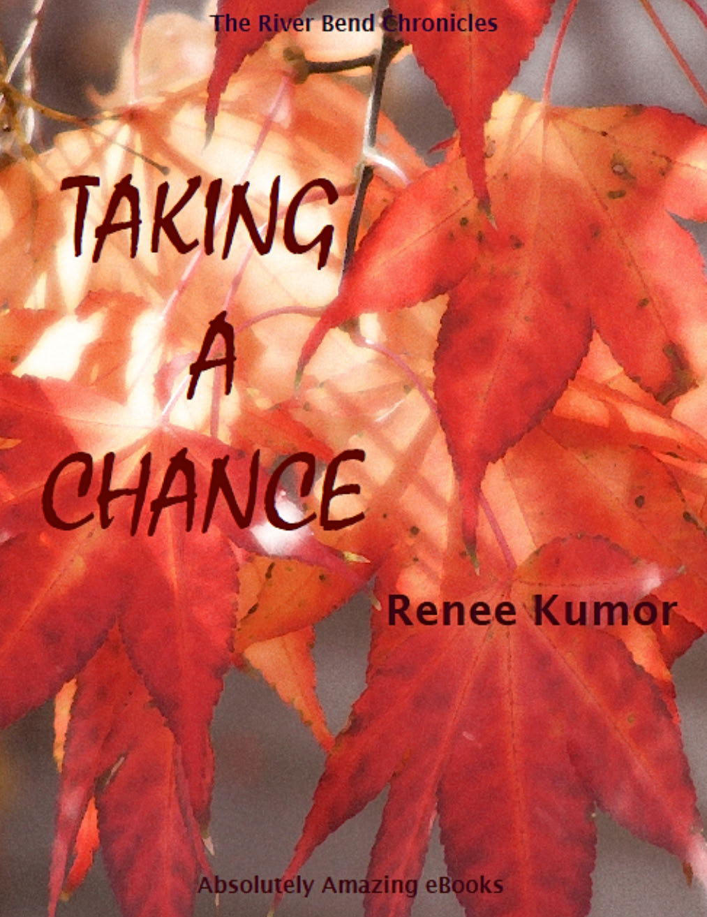 Cover of Taking a Chance