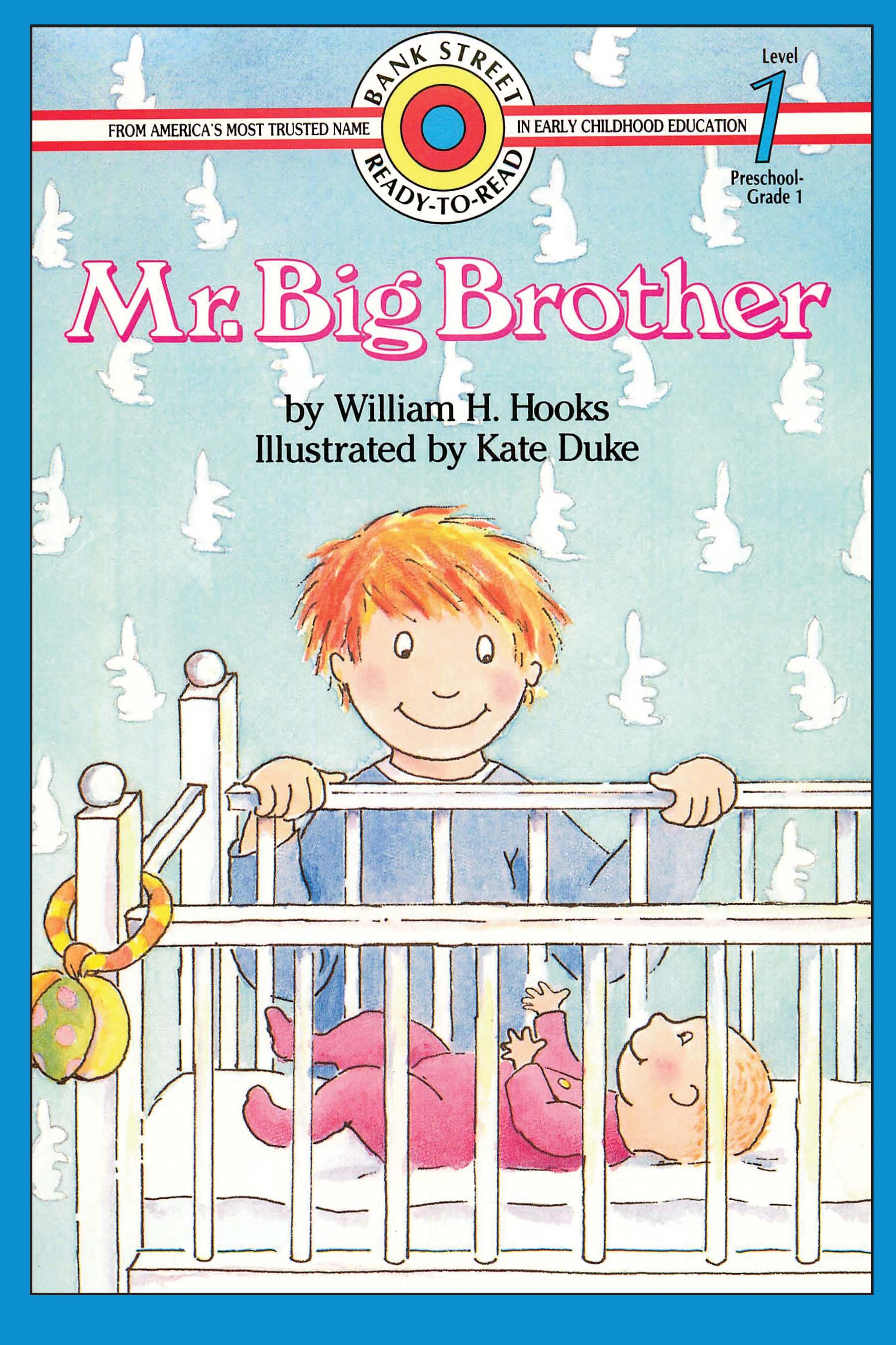 Cover of Mr. Big Brother