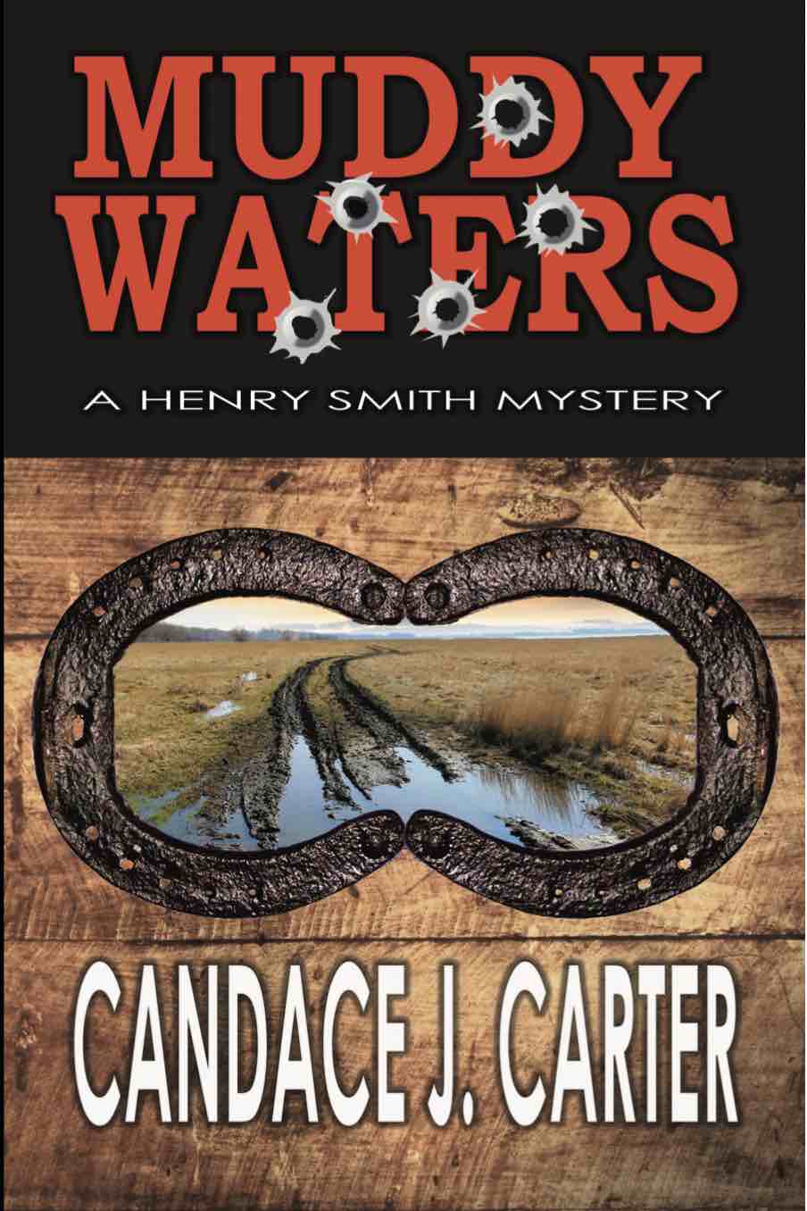 Cover of Muddy Waters